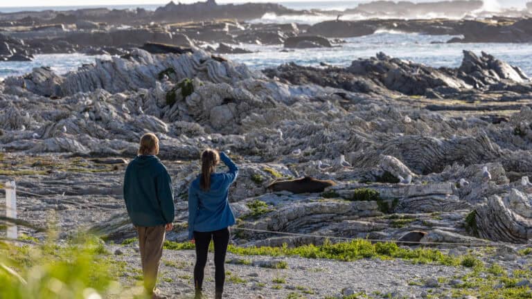 Free things to do in Kaikoura-18 | Must Do New Zealand