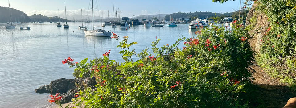 Paihia - Opua Coastal Walkway