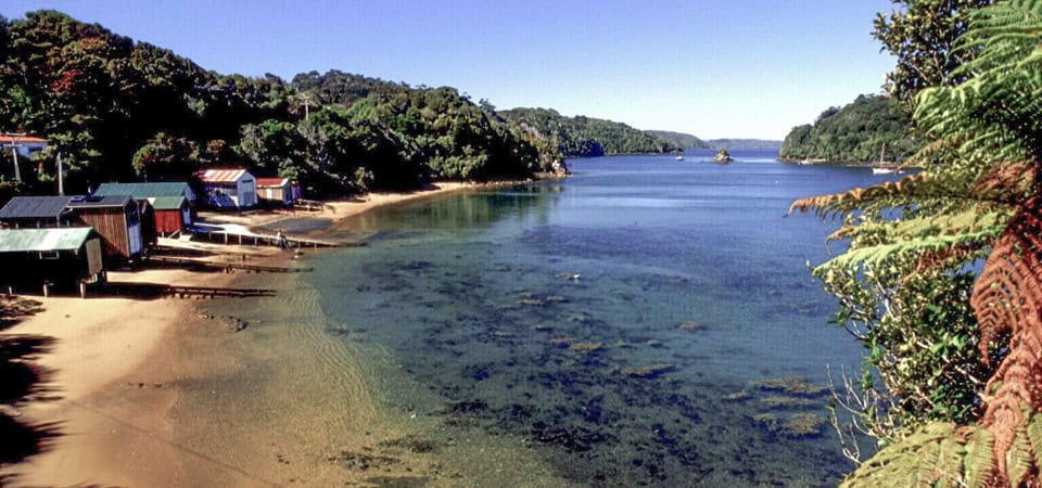 Halfmoon Bay in Oban with small huts along the shoreline, Stewart Island / Rakiura.