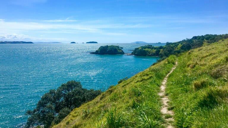 Free-things-to-do-on-waiheke-island-15 | Must Do New Zealand