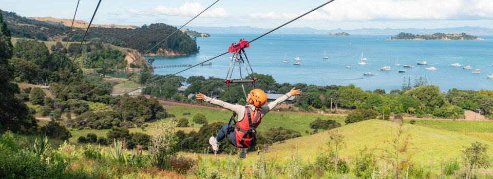 Forest flight zipline at Man O' War bay, Waiheke Island