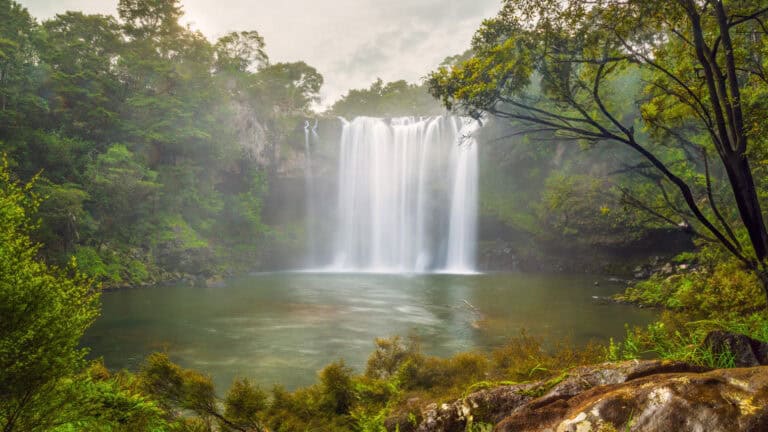 rainbow falls-43 | Must Do New Zealand