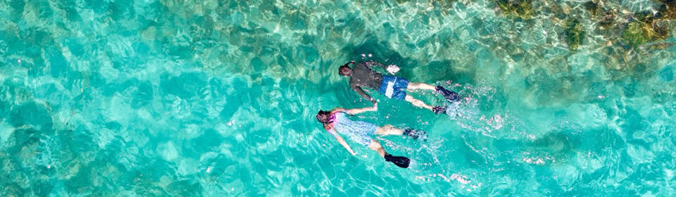 Two snorkelers swimming in bright turquoise water, wearing fins and gear (overhead view).