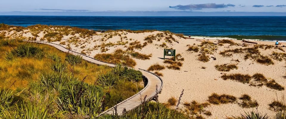 Wooden boardwalk meandering through sandy dunes toward a blue ocean, with coastal grasses.