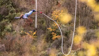 Person in a blue shirt midair on a rope swing/obstacle course in a forest with autumn colors in the background.