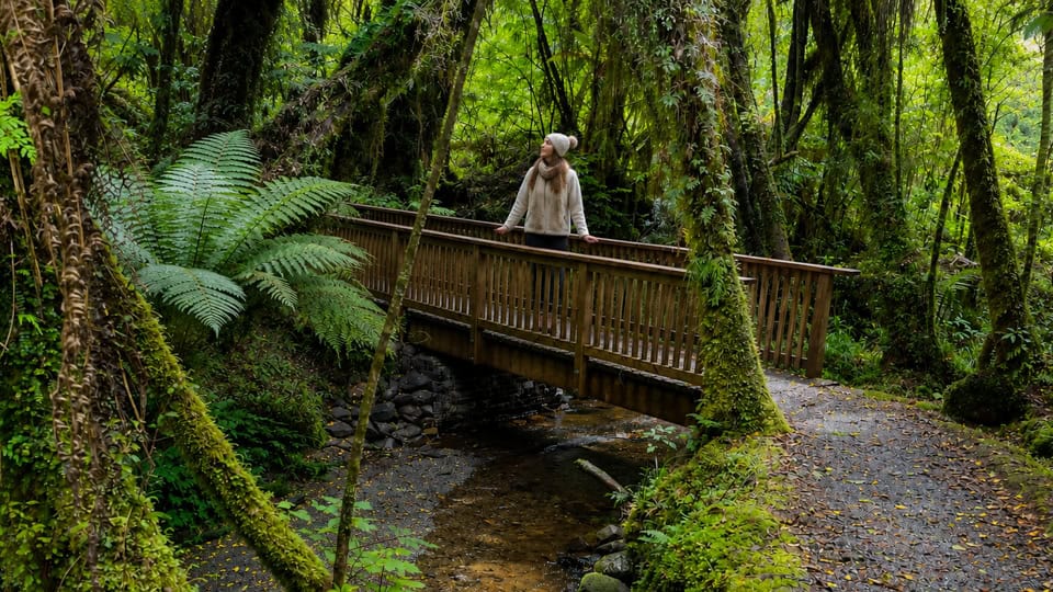 Person stands on a wooden bridge in a lush green forest, wearing a knit beanie and light sweater.