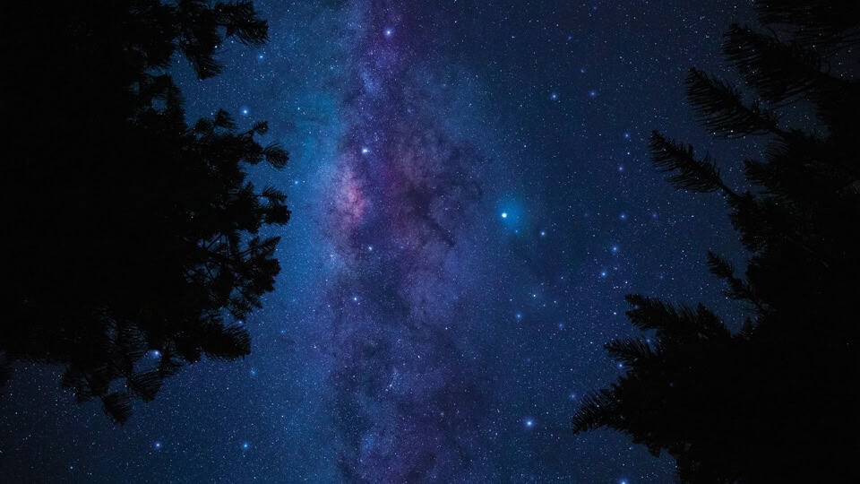 Starry night sky with the Milky Way visible between dark silhouettes of trees.